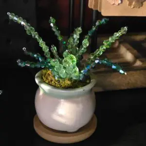 A small green succulent in a white ceramic pot on a wooden surface.